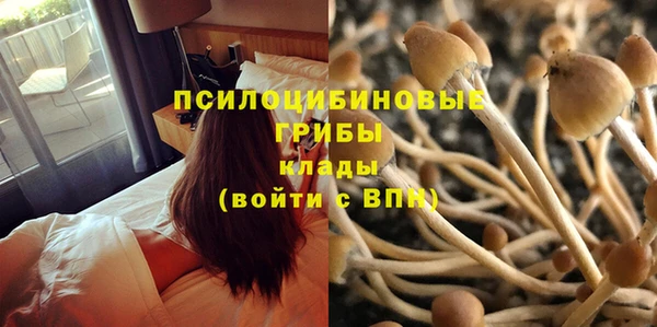 метадон Нязепетровск