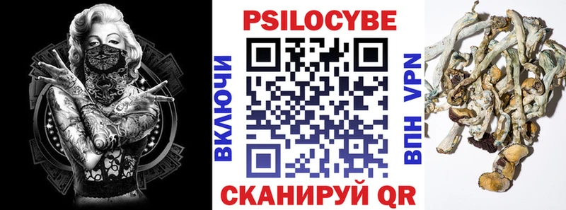 Псилоцибиновые грибы GOLDEN TEACHER Красноармейск