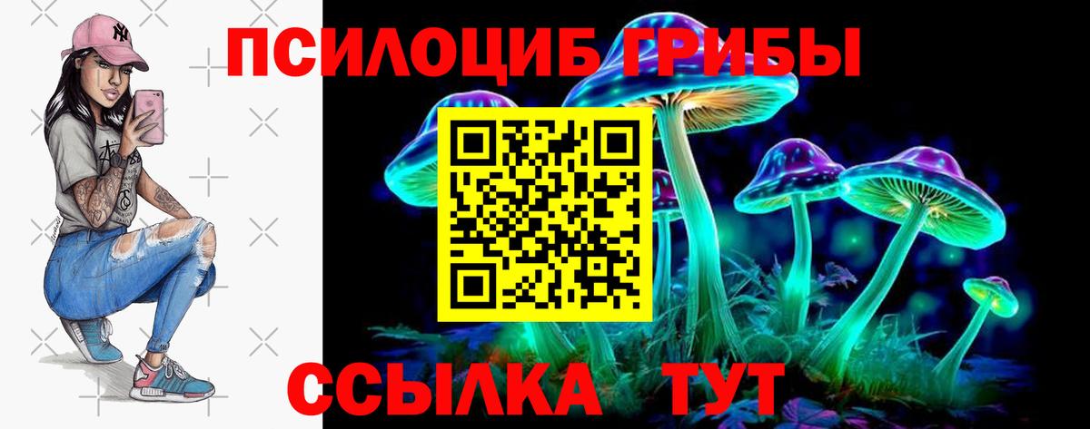 Псилоцибиновые грибы Psilocybine cubensis Красноармейск
